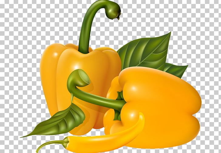 Vegetable Graphic Design PNG, Clipart, Bell Pepper, Bell Peppers And Chili Peppers, Capsicum, Cayenne Pepper, Chili Pepper Free PNG Download