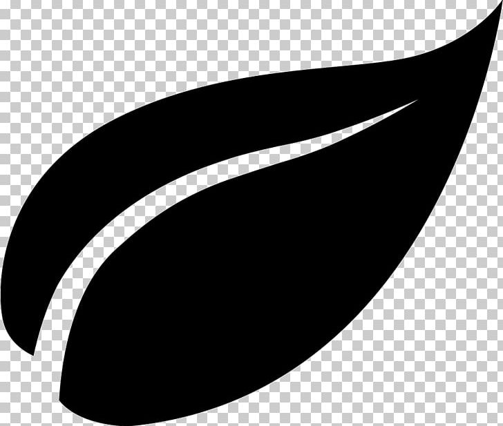 Leaf Shape PNG, Clipart, Angle, Black, Black And White, Circle, Computer Icons Free PNG Download