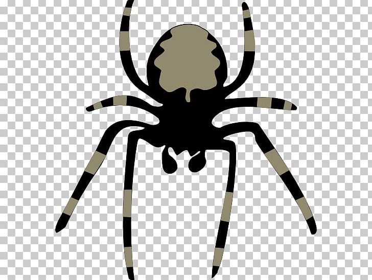 Spider Web Huntsman Spider PNG, Clipart, Arachnid, Arthropod, Artwork, Blog, Download Free PNG Download