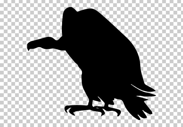 Turkey Vulture Silhouette PNG, Clipart, Animals, Animal Sports, Artwork, Beak, Bird Free PNG Download