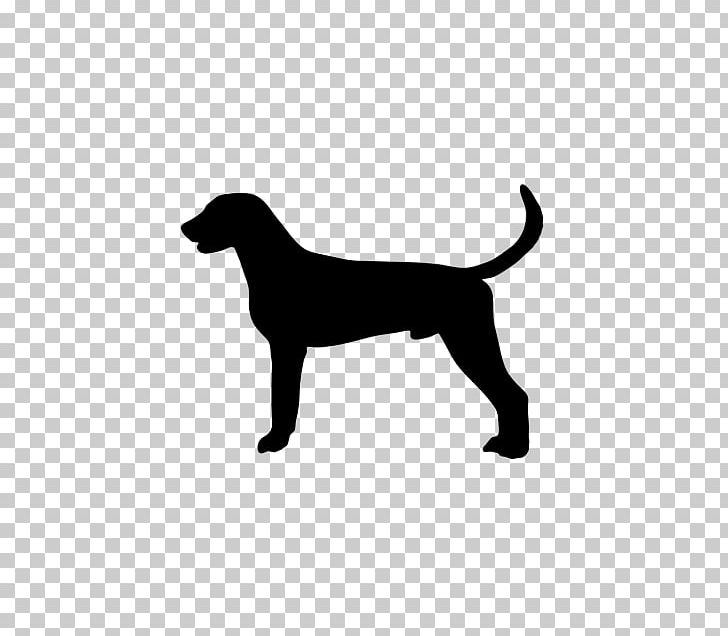 Whippet Rising Sun Kennels | Des Moines | Iowa | Greenland Dog Moscow Watchdog PNG, Clipart, Akita Dog, Animal, Black, Black And White, Breed Free PNG Download