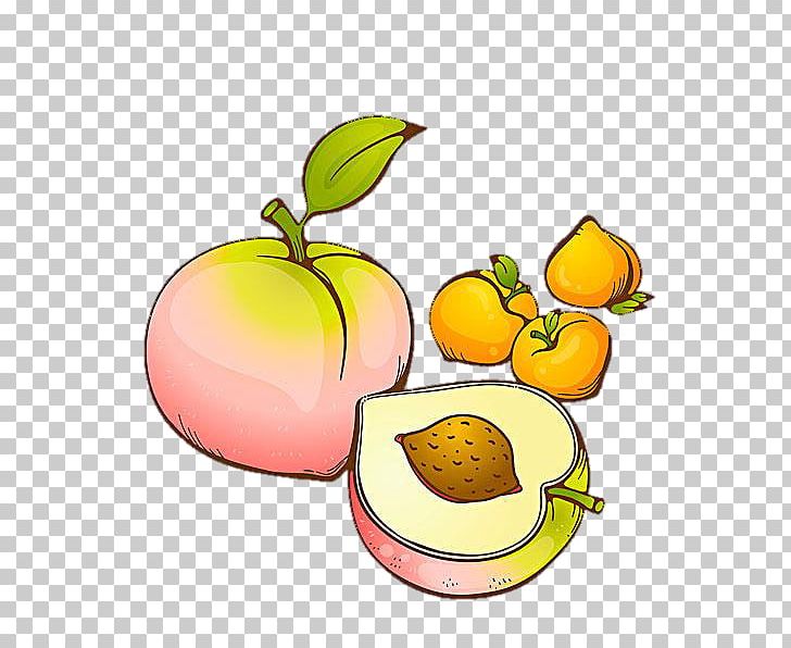 Peach Fruit Drawing PNG, Clipart, Apple, Auglis, Citrus, Diet Food, Download Free PNG Download