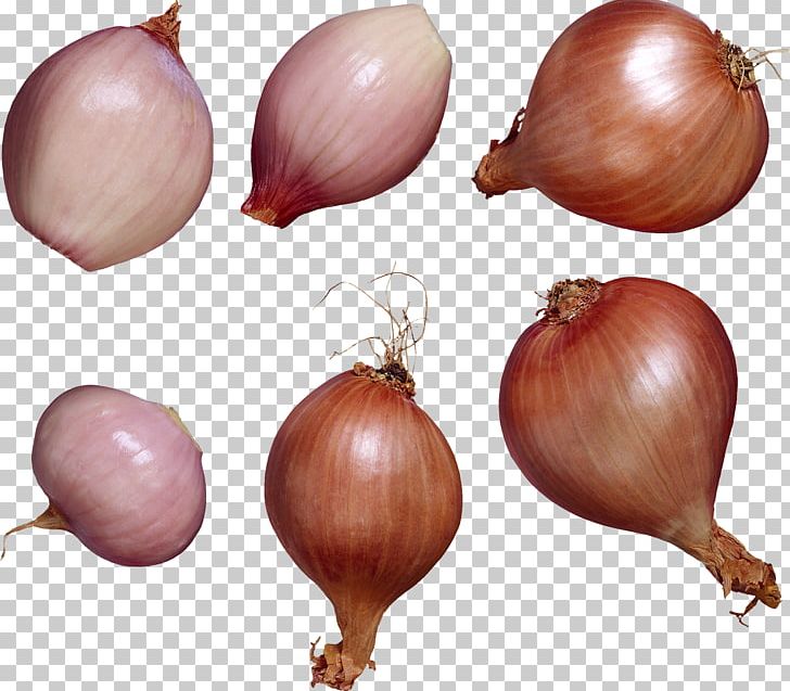Shallot Garlic Vegetable Allium Chinense Flavor PNG, Clipart, Allium, Allium Chinense, Bulb, Flavor, Food Free PNG Download