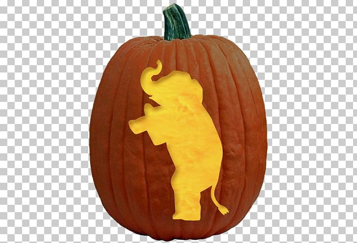 Jack-o'-lantern Pumpkin Carving Stencil Pattern PNG, Clipart, Calabaza, Carving, Cucurbita, Elephant, Gourd Free PNG Download