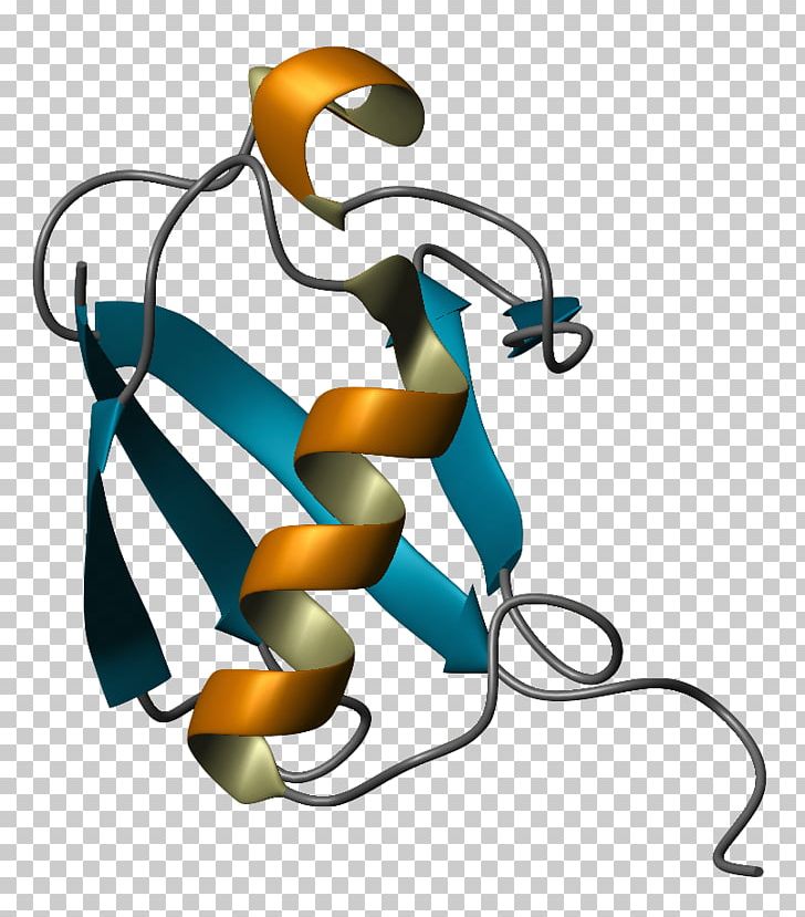 Ubiquitin Protein Folding Ribbon Diagram Molecular Biology PNG, Clipart, Amino Acid, Artwork, Cell Signaling, Chaperone, Line Free PNG Download