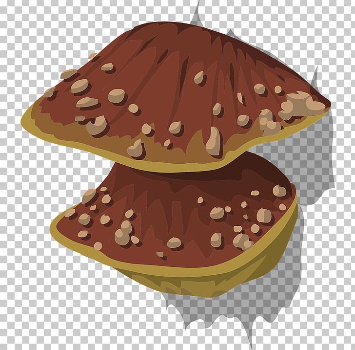 Wood-decay Fungus Mushroom PNG, Clipart, Download, Food, Fungus, Hat, Mold Free PNG Download