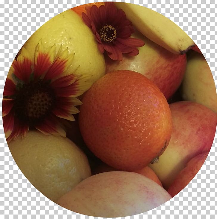 Apple PNG, Clipart, Apple, Food, Fruit, Fruit Nut Free PNG Download