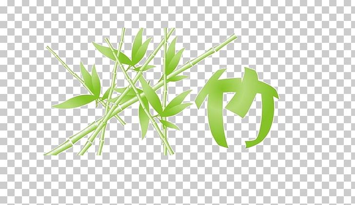 Bamboo Bamboe Photography PNG, Clipart, Alternative Medicine, Child, Decorative, Design Element, Free Logo Design Template Free PNG Download