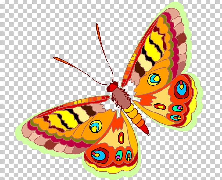Butterfly Coloring Book Child Insect Drawing PNG, Clipart, Aglais Io, Arthropod, Bozzolo, Brush Footed Butterfly, Butterflies And Moths Free PNG Download