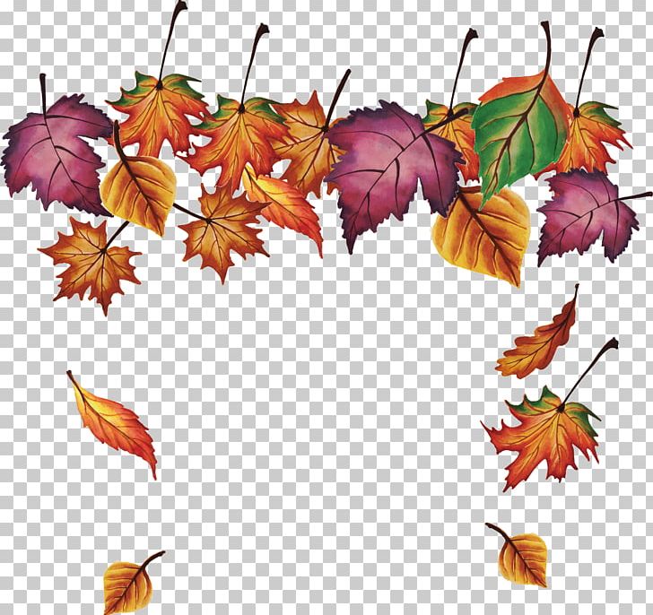 Maple Leaf PNG, Clipart, Autumn Leaves, Branch, Download, Encapsulated Postscript, Fall Free PNG Download