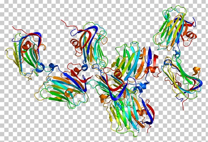 NRXN1 Neurexin Neuroligin Protein Gene PNG, Clipart, 1 C, 4 R, Art, Cell Membrane, Copynumber Variation Free PNG Download