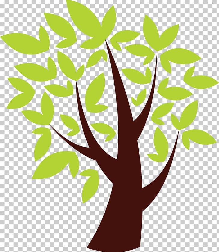Tree Oak PNG, Clipart, Branch, Drawing, Flora, Flower, Flowering Plant Free PNG Download