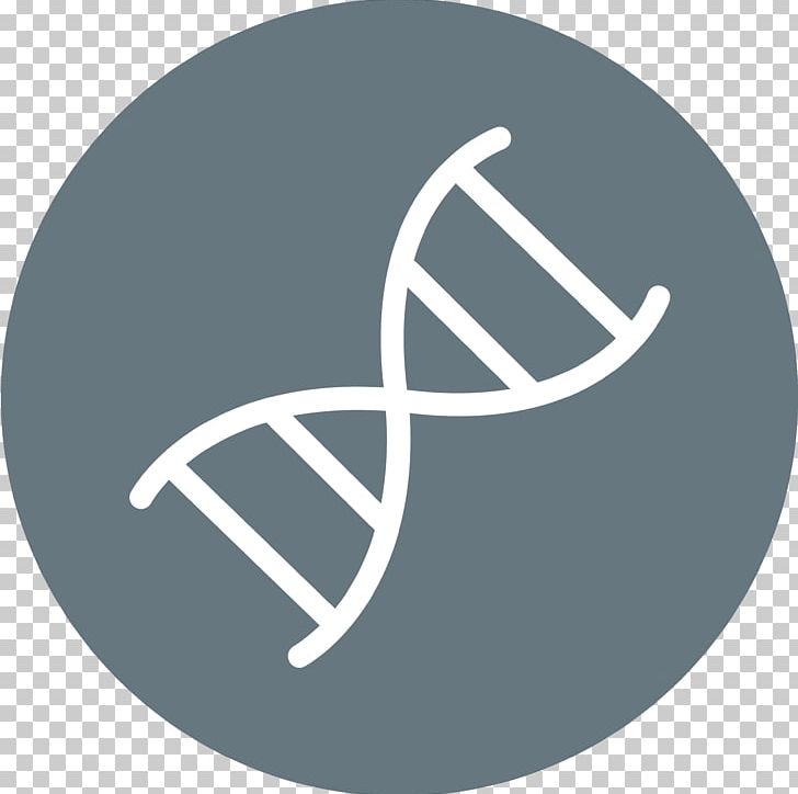DNA Nucleic Acid Double Helix PNG, Clipart, Angle, Art, Brand, Cell, Chromosome Free PNG Download