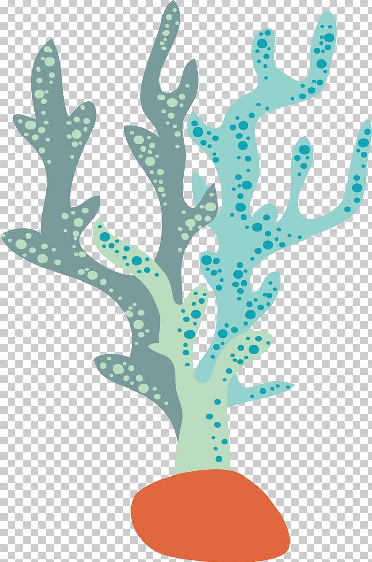 Seaweed Aquatic Plant PNG, Clipart, Bifurcation, Branch, Christmas ...