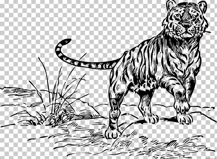 Tiger Cat Coloring Book Lion PNG, Clipart, Adult, Animal Figure, Animals, Art, Big Cats Free PNG Download