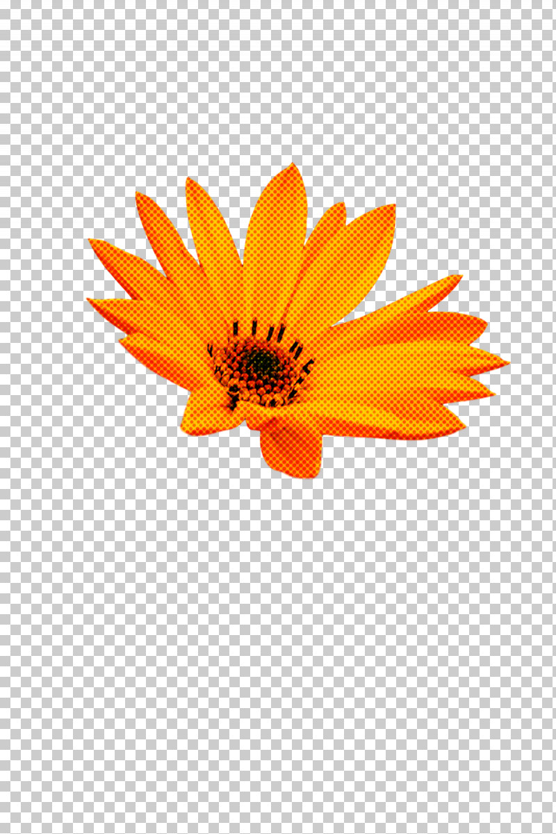 Sunflower PNG, Clipart, Biology, Calendula, Flower, Petal, Plants Free PNG Download