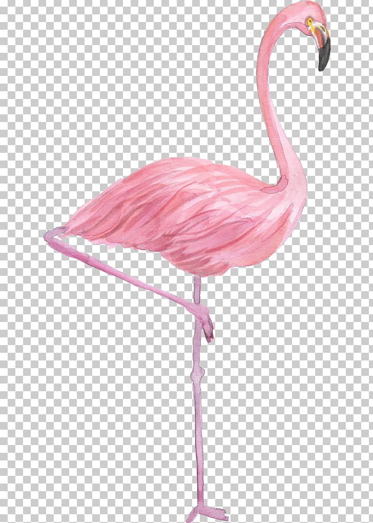 Flamingo Drawing Watercolor Painting PNG, Clipart, Animals, Art, Art Museum, Beak, Bird Free PNG Download
