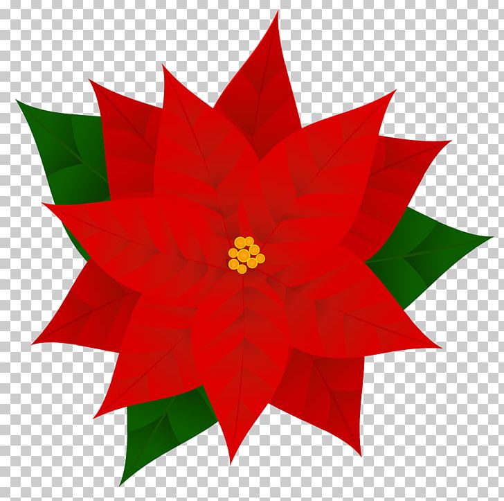 Poinsettia Christmas PNG, Clipart, Blog, Christmas, Christmas Clipart, Christmas Decoration, Christmas Ornament Free PNG Download