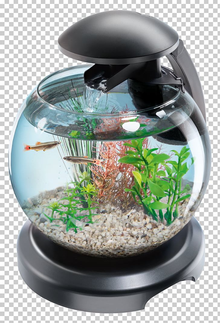 Aquarium Tetra Goldfish Filtration Siamese Fighting Fish PNG, Clipart, Aquarium, Aquarium Filters, Aquascaping, Filtration, Fish Free PNG Download