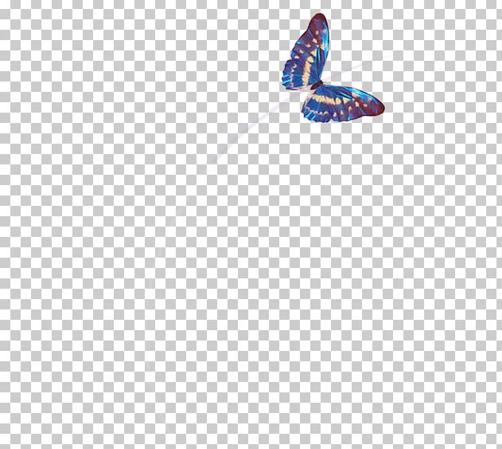 Butterfly Dating Single Person YouTube Russia PNG, Clipart, Butterfly, Country, Dating, Day Trading, Father Free PNG Download