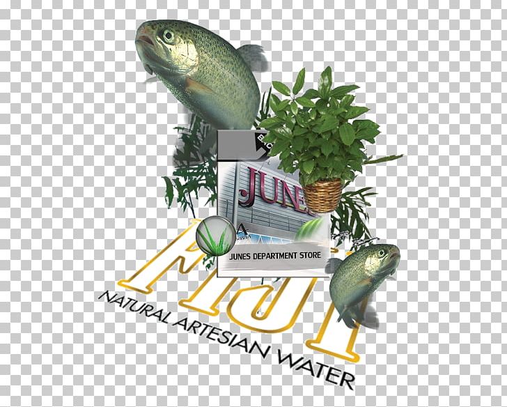 Domesticated Trout: How To Breed And Grow Them Plant Schefflera Font PNG, Clipart, Fauna, Green Aloe Vera, Organism, Plant, Schefflera Free PNG Download