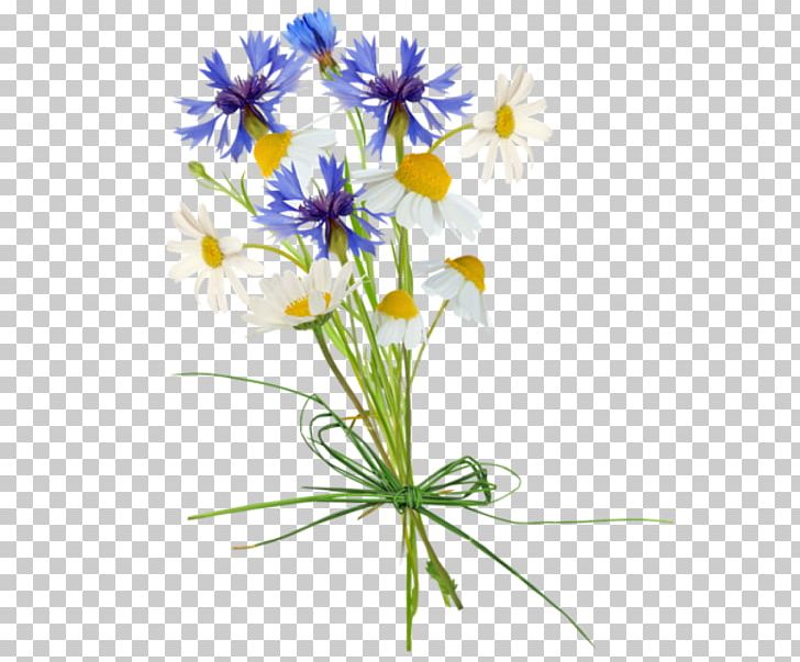 Flower Bouquet PNG, Clipart, Aster, Bouquet, Bouquet Of Flowers, Buket Cicekler, Chamaemelum Nobile Free PNG Download