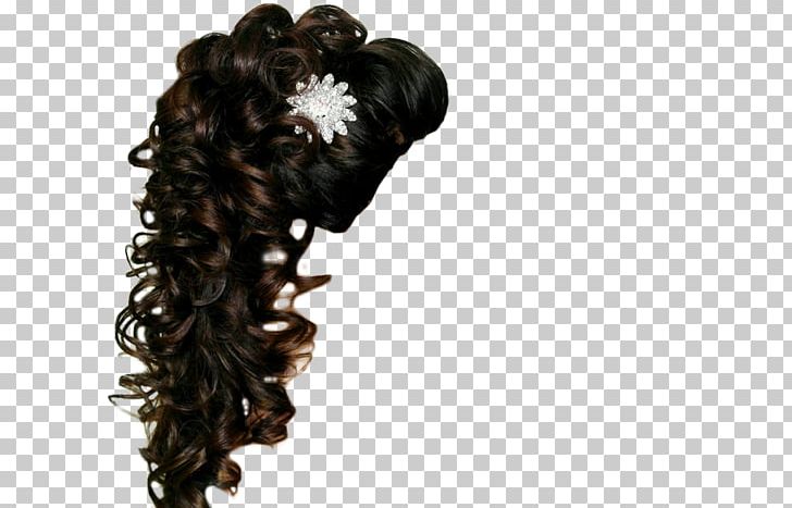 Hairstyle Updo Braid Long Hair PNG, Clipart, Artificial Hair Integrations, Bangs, Black Hair, Braid, Fashion Free PNG Download