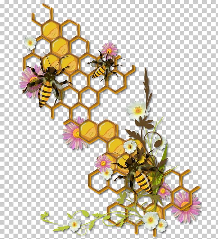 Honey Bee Insect Honeycomb Beehive PNG, Clipart, Bee, Bee Pollen, Branch, Bumblebee, Butterfly Free PNG Download