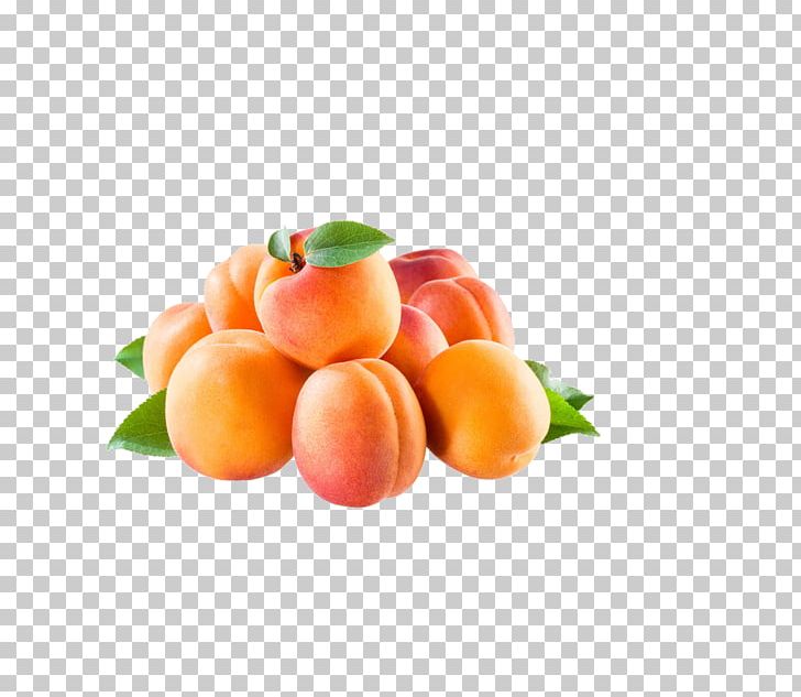 Juice Apricot Peach Fruit PNG, Clipart, Apricot Kernel, Apricot Oil, Food, Fruit Nut, Natural Foods Free PNG Download