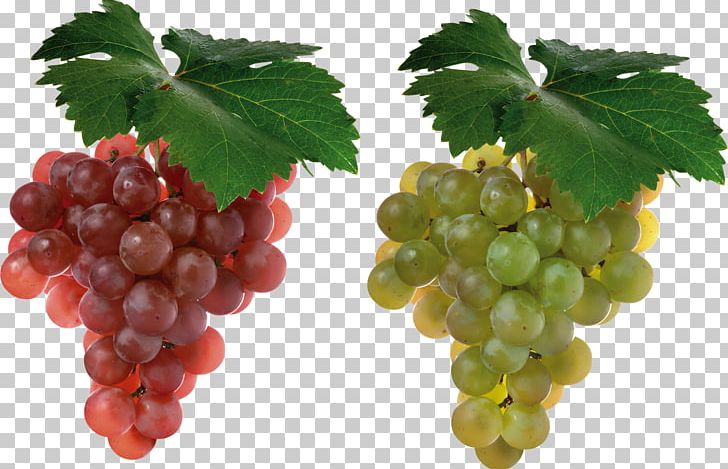 Cabernet Sauvignon Grape Juice Shiraz Fruit PNG, Clipart, Berry, Cabernet Sauvignon, Common Grape Vine, Desktop Wallpaper, Food Free PNG Download
