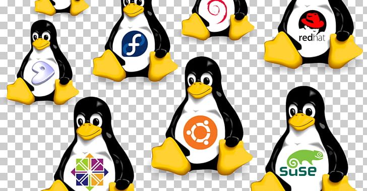 Linux Distribution Operating Systems Open-source Software Computer Software PNG, Clipart, Beak, Bird, Computer Servers, Computer Software, Ext3 Free PNG Download