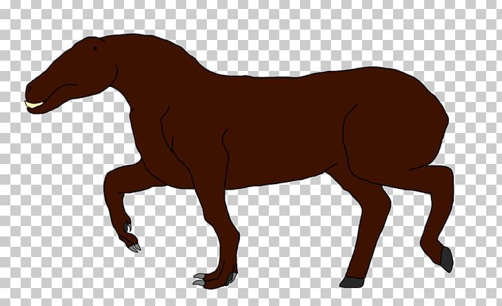 Mustang Stallion Pony Mare Halter PNG, Clipart, Animal, Bridle, Drake, Grass, Halter Free PNG Download