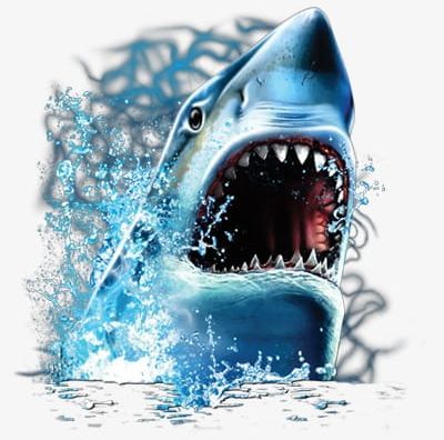 Water Sharks PNG, Clipart, Life, Marine, Marine Life, Shark, Sharks Clipart Free PNG Download