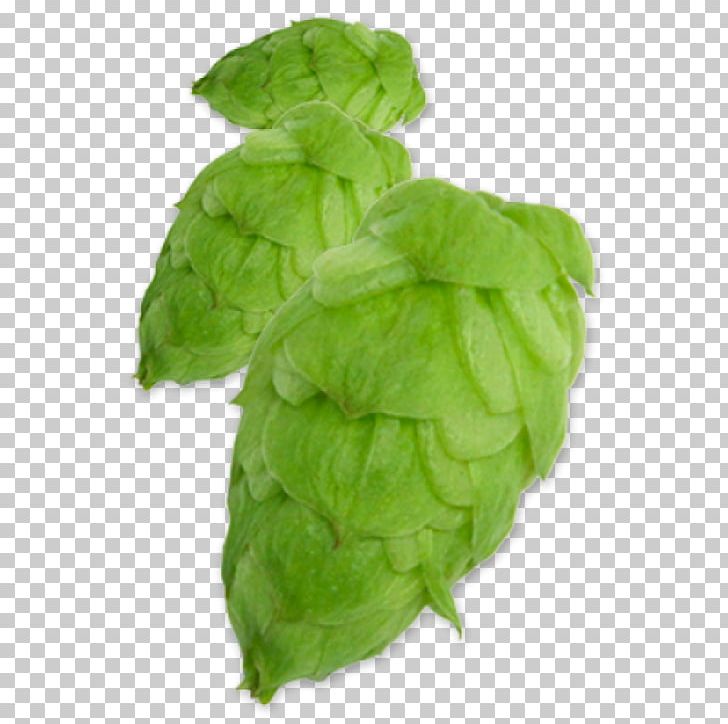Beer Common Hop Yakima Chief Hops YCH HOPS PNG, Clipart, Alpha Acid, Beer, Beer Brewing Grains Malts, Chief, Citra Free PNG Download