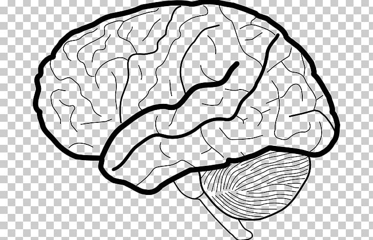 Brain Working Memory Coloring Book PNG, Clipart, Black And White, Brain, Child, Color, Coloring Book Free PNG Download
