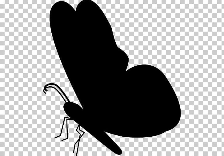 Butterfly Insect PNG, Clipart, Animal, Black And White, Black Butterfly, Butterfly, Chair Free PNG Download