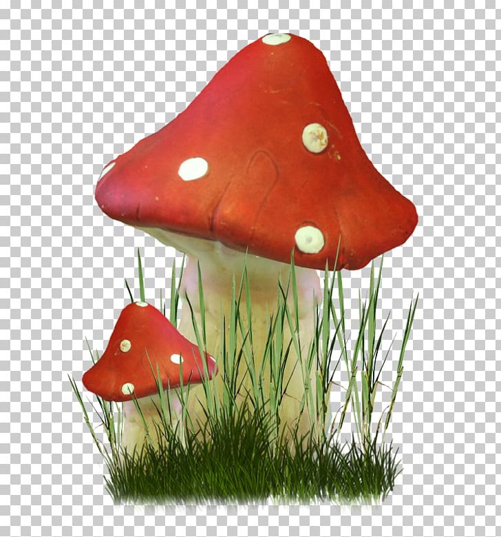Fungus Mushroom Herbaceous Plant PNG, Clipart, Animaatio, Drawing, Flower, Fungus, Herbaceous Plant Free PNG Download