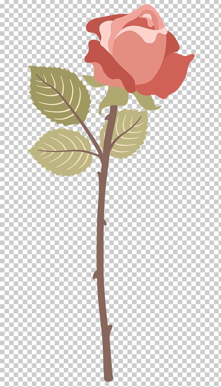 Garden Roses Cabbage Rose Graphics Red Damask Rose PNG, Clipart, Blume, Branch, Cut Flowers, Damask Rose, Flora Free PNG Download