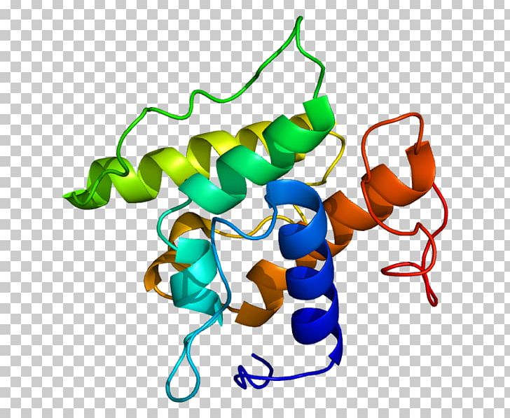 Transgelin GeneCards Protein Actin PNG, Clipart, Actin, Actinbinding Protein, Animal Figure, Antibody, Artwork Free PNG Download