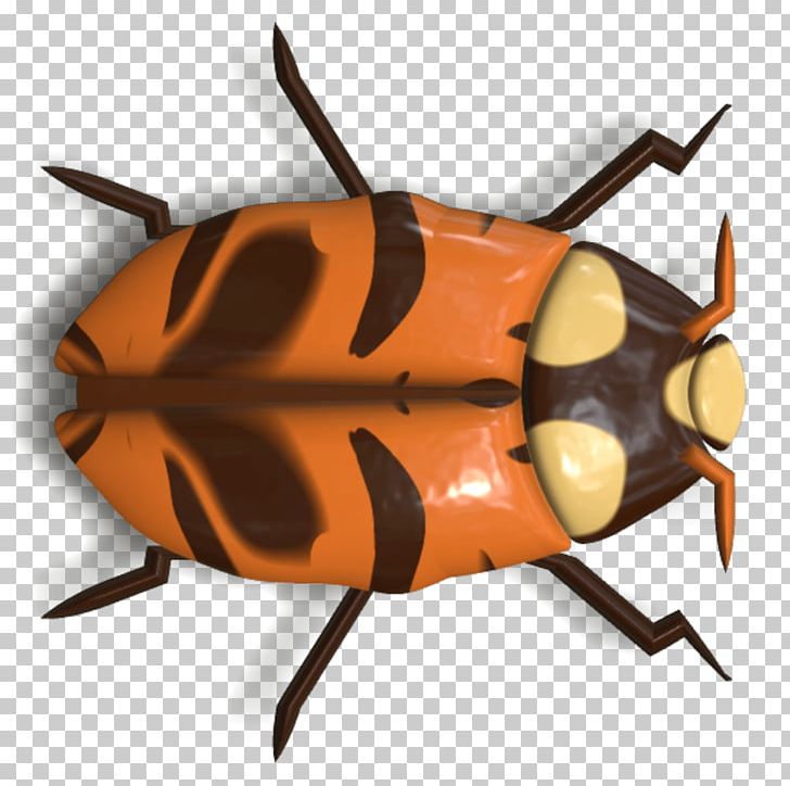 Beetle Ladybird Animal PNG, Clipart, Animal, Animals, Arthropod, Banco De Imagens, Beetle Free PNG Download