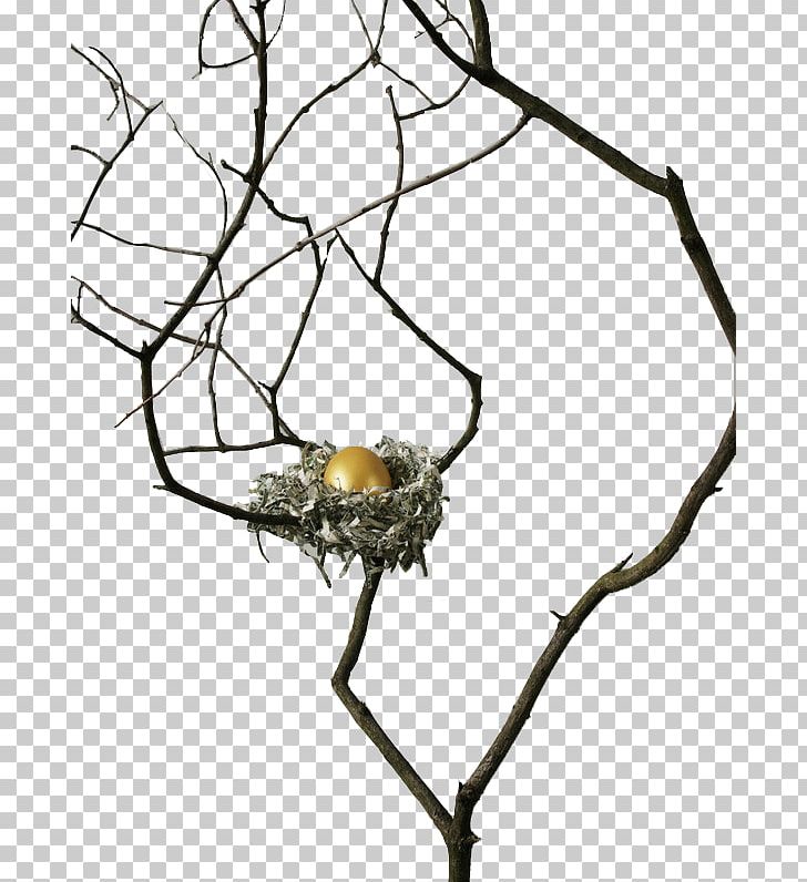 Animals Creative Artwork Branch PNG, Clipart, Animals, Black And White, Branch, Coin, Conduct Free PNG Download