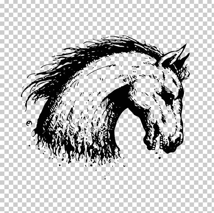 Mane Mustang Pony Pack Animal Snout PNG, Clipart, Carnivora, Carnivoran, Cartoon, Character, Drawing Free PNG Download