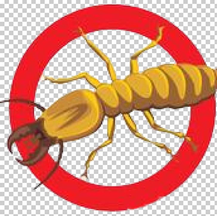 Cockroach Pest Control PNG, Clipart, Animals, Ant, Artwork, Bed Bug, Cockroach Free PNG Download