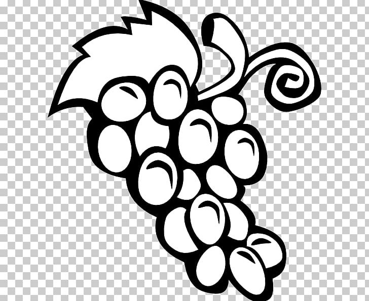Common Grape Vine Wine PNG, Clipart, Black And White, Circle, Clip Art, Common Grape Vine, Flora Free PNG Download