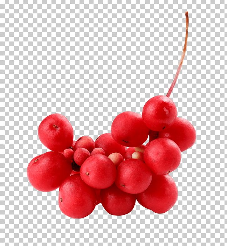 Cranberry Five-flavor Berry Zante Currant PNG, Clipart, Berry, Cranberry, Depression, Fiveflavor Berry, Food Free PNG Download