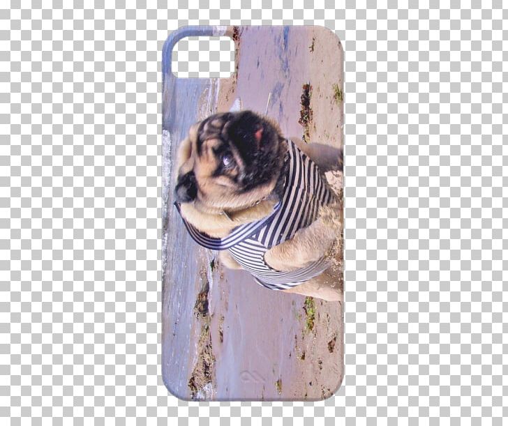 Pug Samsung Galaxy S5 IPhone 5 Samsung Galaxy S4 PNG, Clipart, Cat Like Mammal, Dog Like Mammal, Google Nexus, Iphone, Iphone 5 Free PNG Download