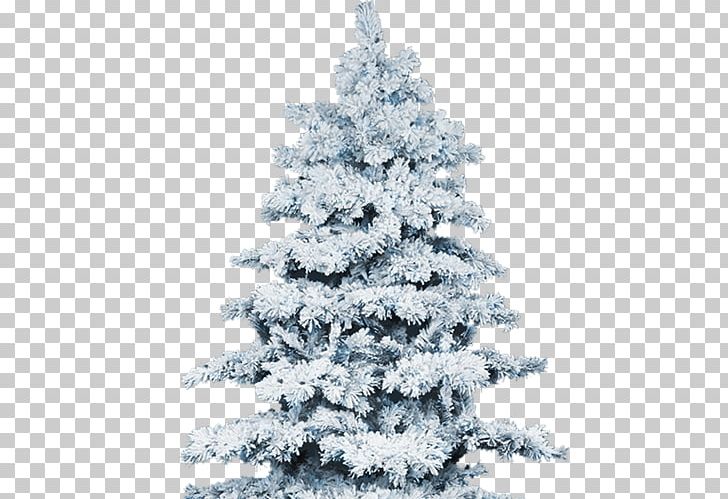 Snow Christmas Tree Winter Pine PNG, Clipart, Abies Alba, Abies Magnifica, Christmas, Christmas Decoration, Christmas Ornament Free PNG Download
