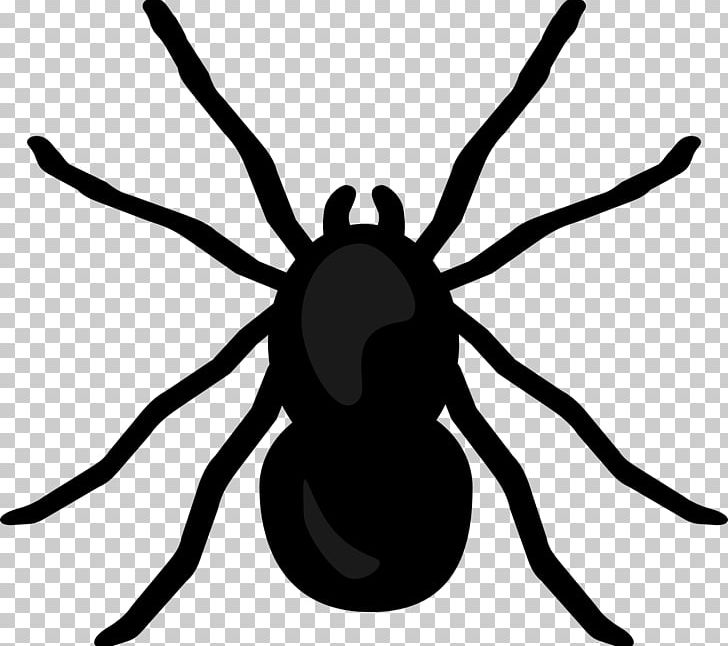 Spider Desktop PNG, Clipart, Animation, Arthropod, Artwork, Black And White, Computer Icons Free PNG Download
