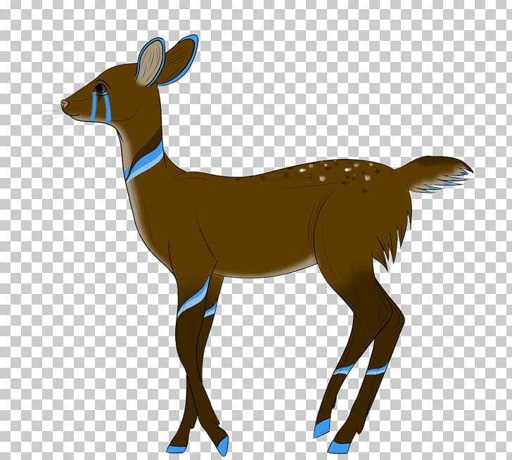 Antelope Reindeer Impala Goat PNG, Clipart, Animal, Antelope, Antler, Cartoon, Cattle Free PNG Download