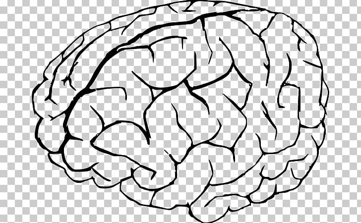 Drawing Brain PNG, Clipart, Area, Art, Black And White, Brain, Circle Free PNG Download